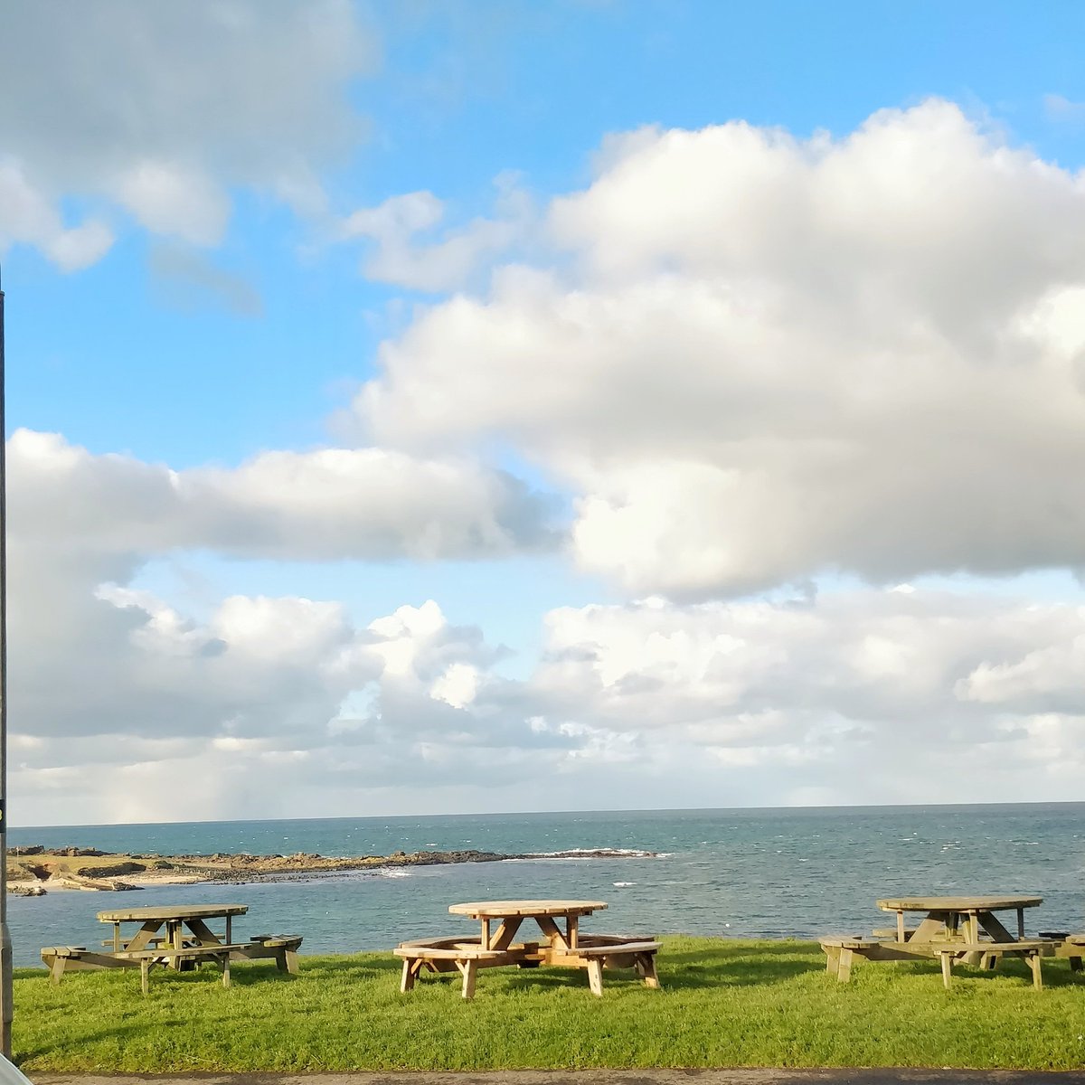 Ballyriff Buffalo tweet media