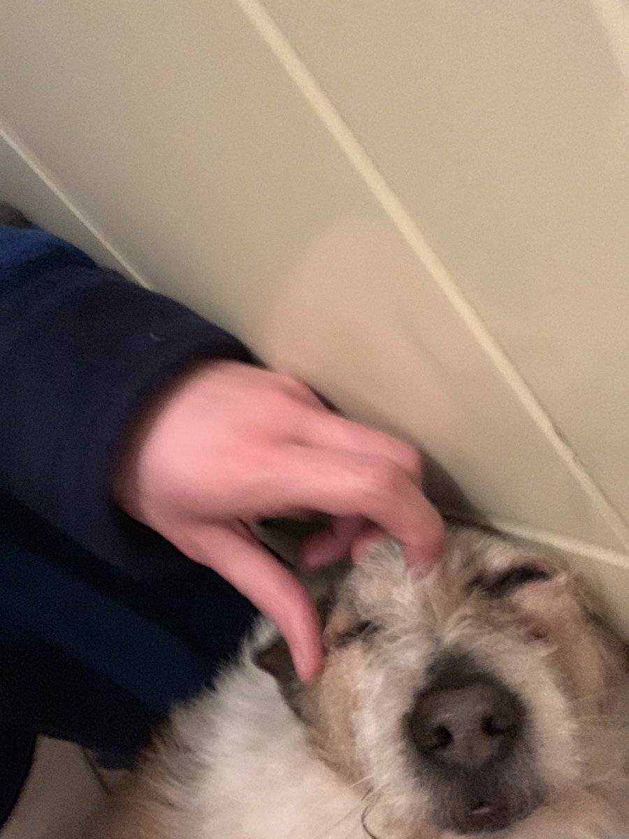 Daniel Breen tweet media