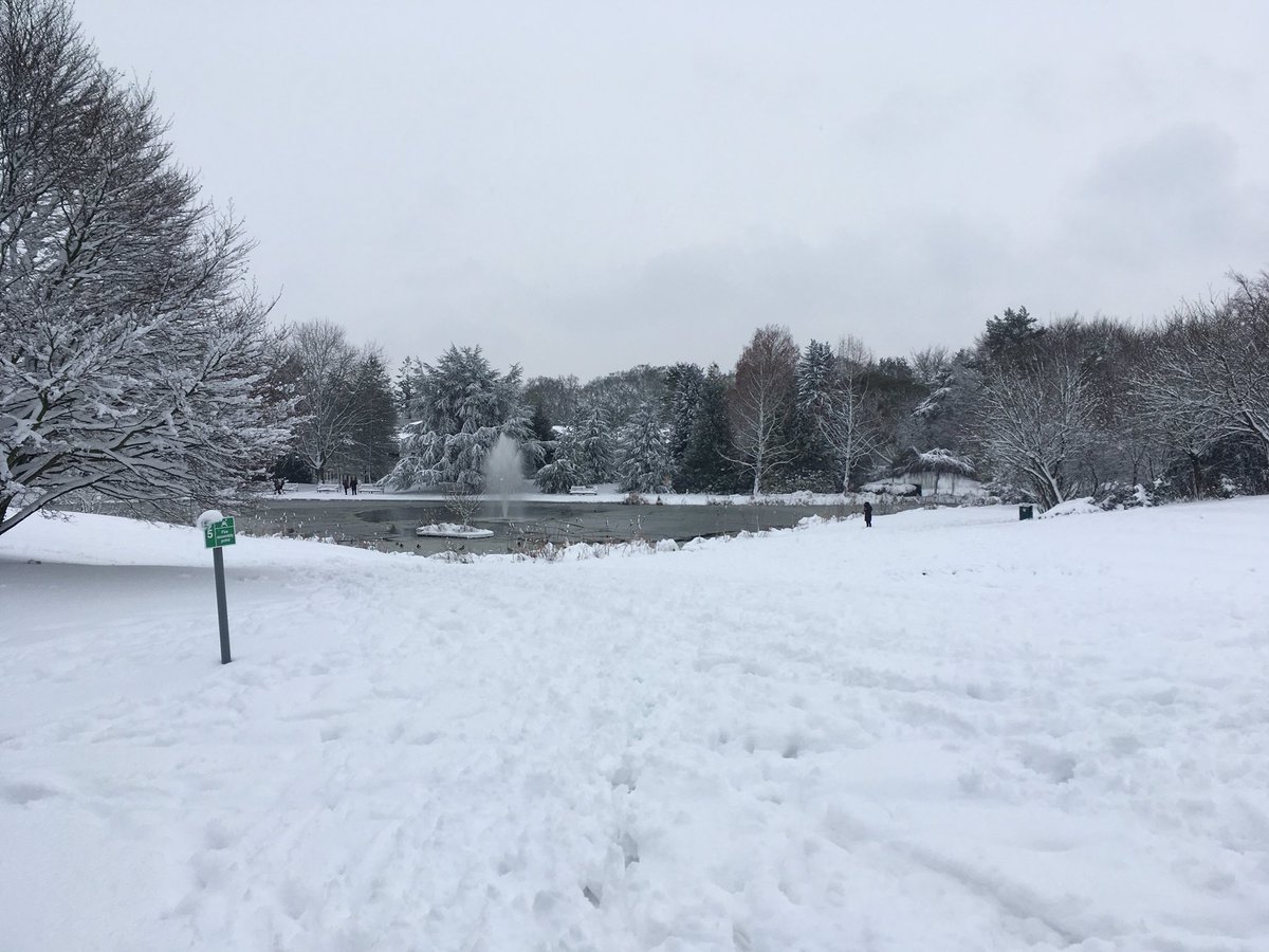 Dom Parsons (@domparsons) on Twitter photo Pretty standard conditions for getting to work for a skeleton athlete. <a href="/UniofBath/">University of Bath</a> campus looks good in white! Pretty standard conditions for getting to work for a skeleton athlete. <a href="/UniofBath/">University of Bath</a> campus looks good in white!