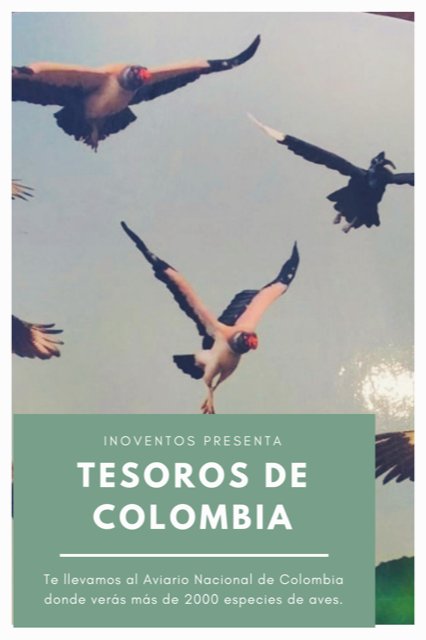 Inoventos's tweet photo. Lugares inesperados para sus grupos #inoventos #corporateevents #incentivetravel #vipevents #colombia #cartagena https://t.co/0QlEidRnLr
