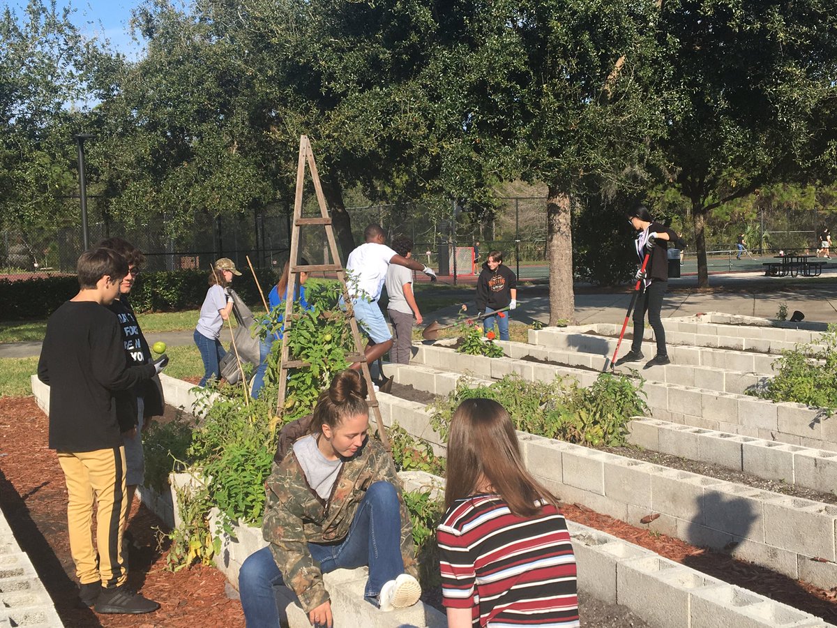 FSWC_Charlotte's tweet photo. Sutton’s Horticulture class busy in the gardens today. #iwantsalsa https://t.co/1Q9Xog8WOv