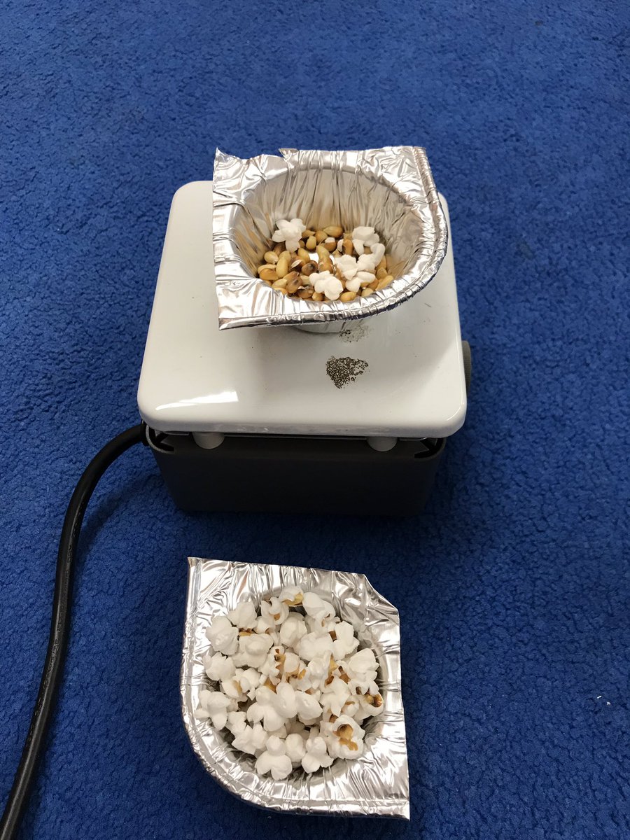 BSarapochillo's tweet photo. Covered vs. Uncovered ! Trapping heat sped up the CHANGE! But why? πͺπ»π§ π₯πΏ #changesfromheat @MTPSpride @DrGeorge_MTPS @NutSwampTigers https://t.co/tHpOdtTwpk