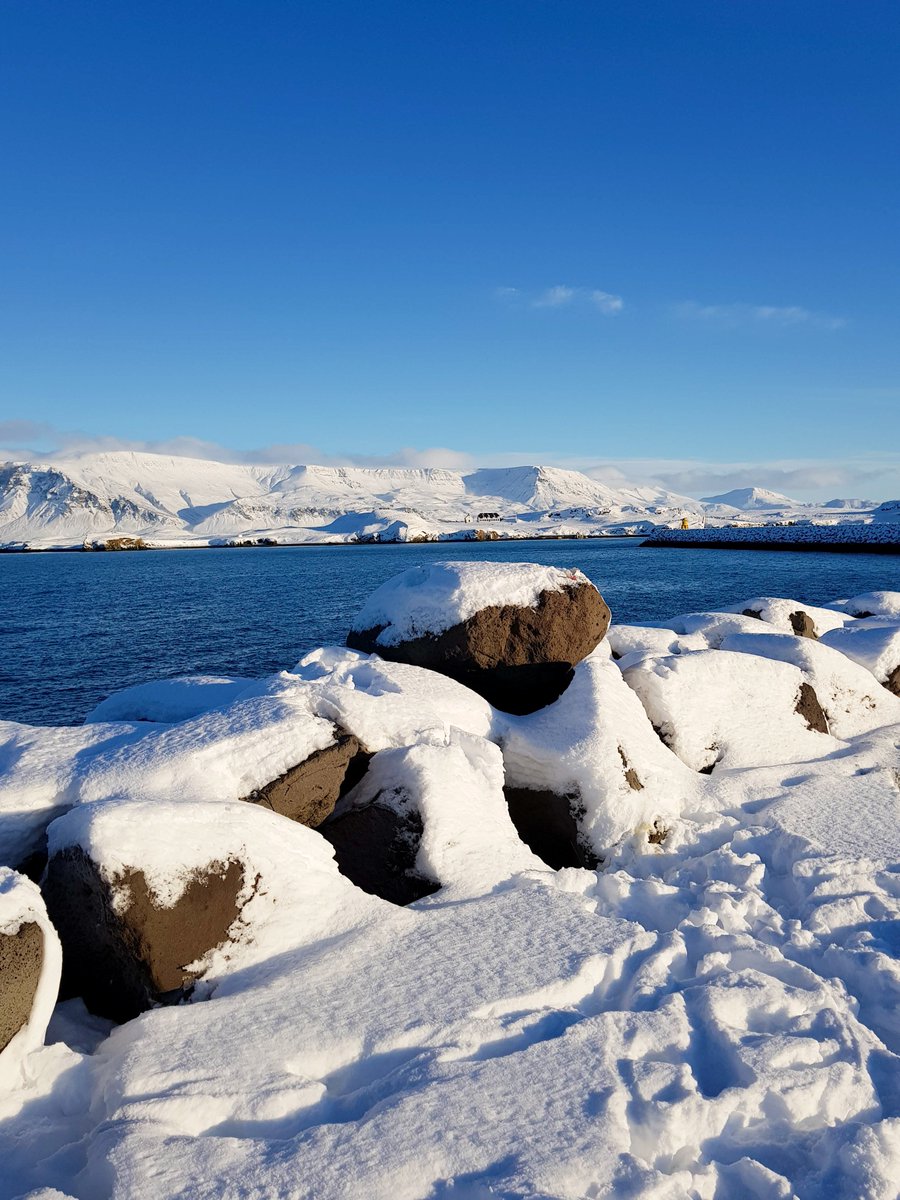 This is what #Reykjavík looks like today!
Covered in #snow ❄️⛄️

Follow us and tag us on IG to be featured:instagram.com/graylineiceland

#wintertime #winter #iceland #visiticeland #cold #wheniniceland #winterwonderland #freeze #keepitwild #beboundless #feedyouradventure #travel #photo