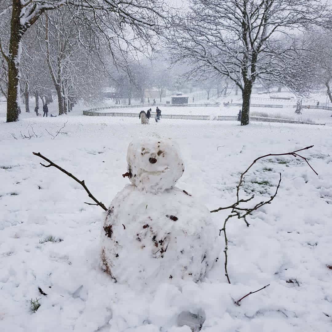 st_trail's tweet photo. Hands up who's having a snow day? Lots of fun in St George Park! https://t.co/VhWizHcNIV