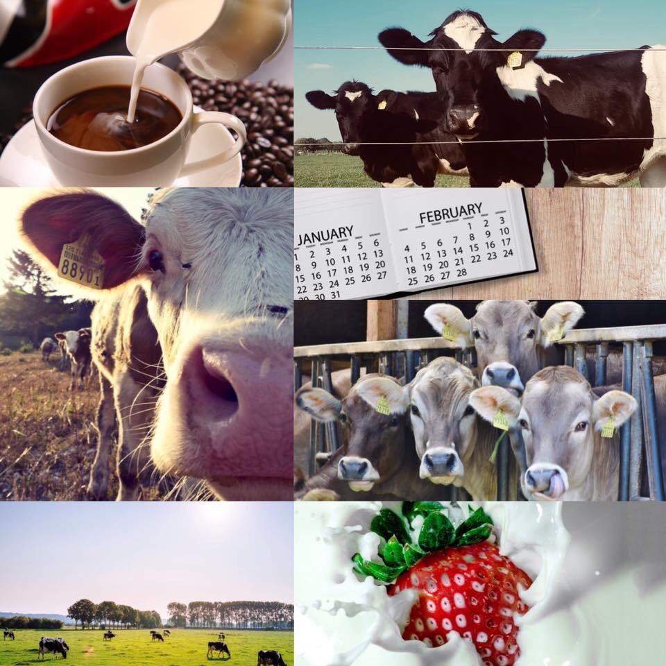 It’s the end of the week, and the first day of February, which means the start of #Februdairy !! As a team we know every day of the year is Februdairy for our dairy farming clients so we will strive to support them as we do all year round! #agriaccountants #growingyourbusiness