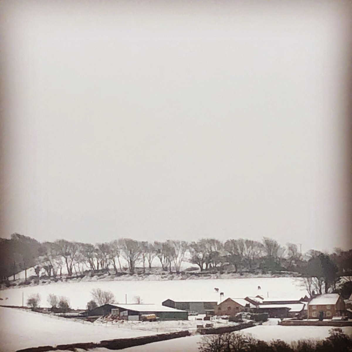 IEH_Ltd's tweet photo. View from our office, there may be snow of the ground but we are all still working. Great thing about hiring an Island company for your washroom servicing is that we won’t let something like a little bit of snow stop us from getting to you #IsleofWight #isleofwightsnow #washroom https://t.co/zxnwCtahNJ
