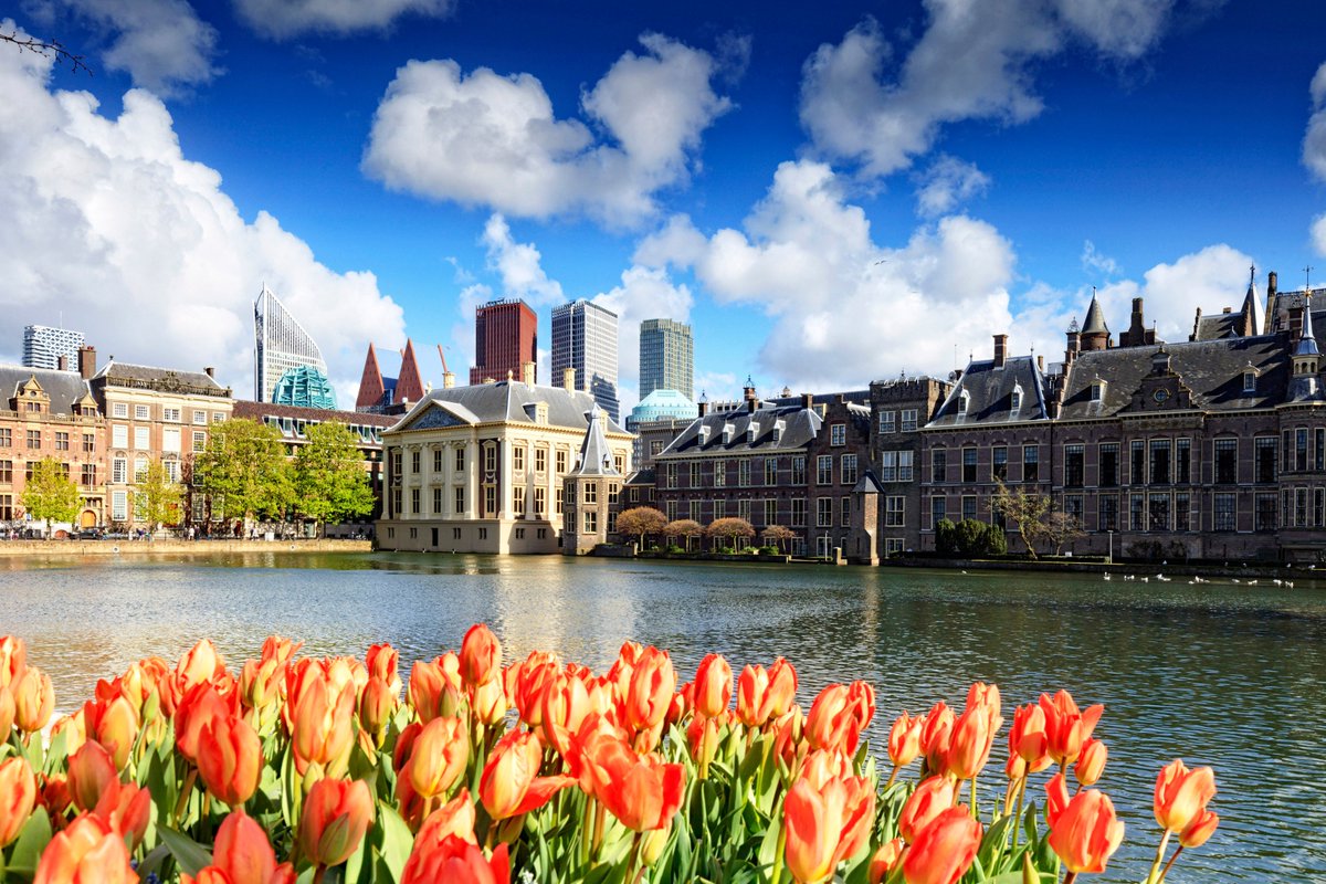 Submit your abstract for the 29th Alzheimer Europe Conference #29AEC between now and 30 April. Registration is also open for the conference, with Early Bird rates until 30 June!
bit.ly/2TrgFNo