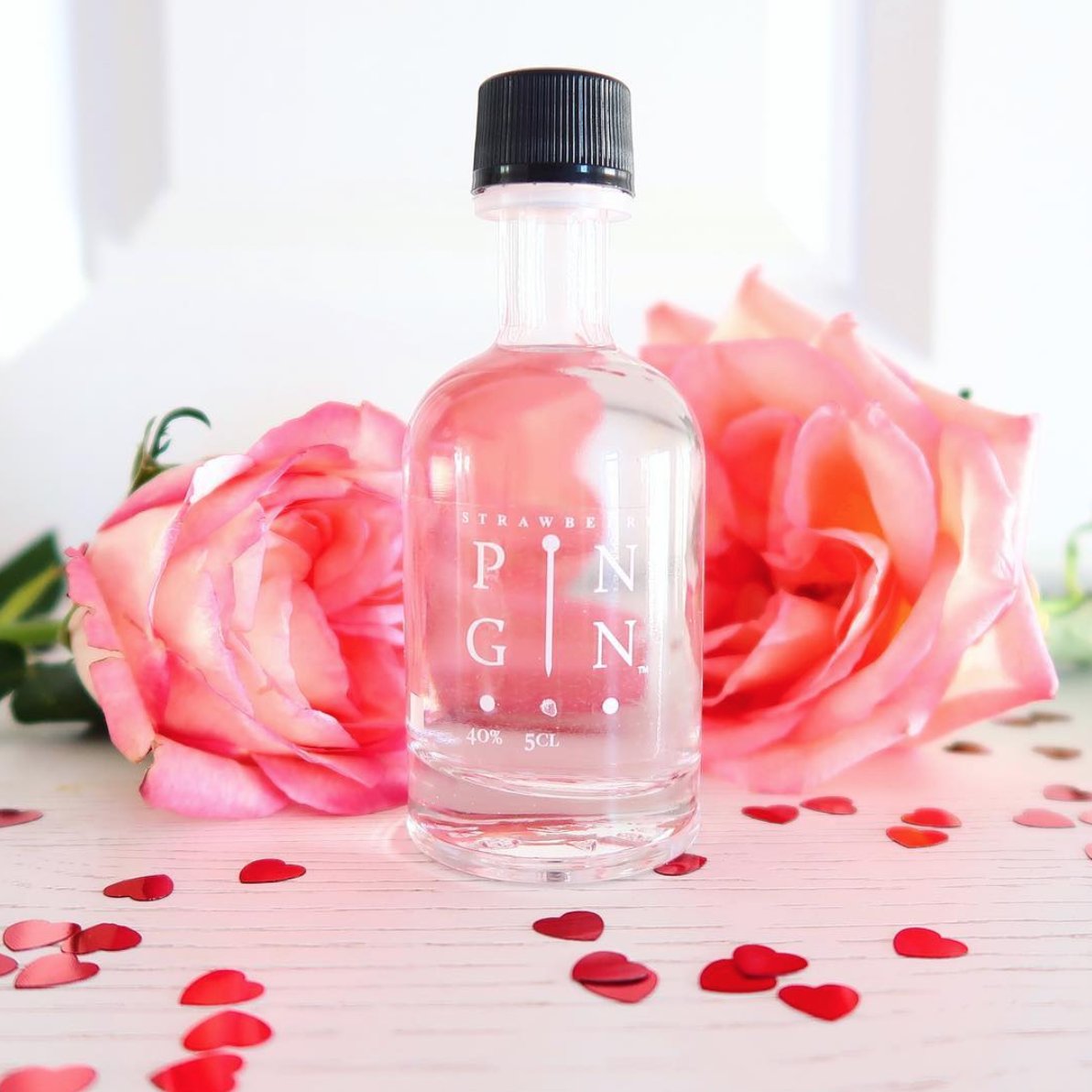 Holly the Gintern tweet media