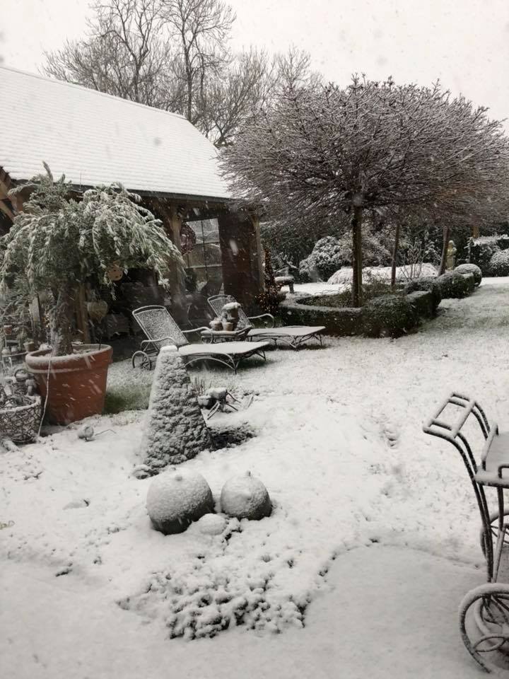 Je tuin als onderdeel van je winterlandschap.
tuinhuizen-gebart.be
#tijdvooreenfoto #bijgebouw