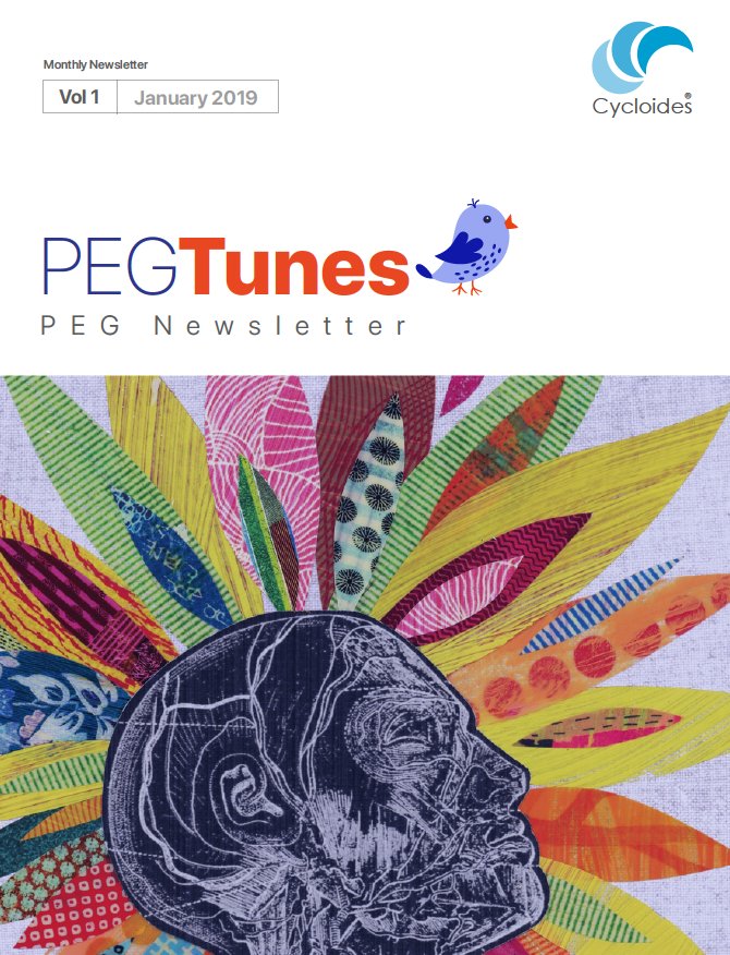 Product Engineering Group - This is how we solved the issues while practicing Agile/Scrum in service/consulting projects.