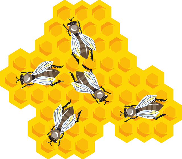 thebeekeeperman's tweet photo. I wish a lot of people would start raising honey bees because it has a number of benefits for us... #gettingstart... https://t.co/QAIsnjL4WR