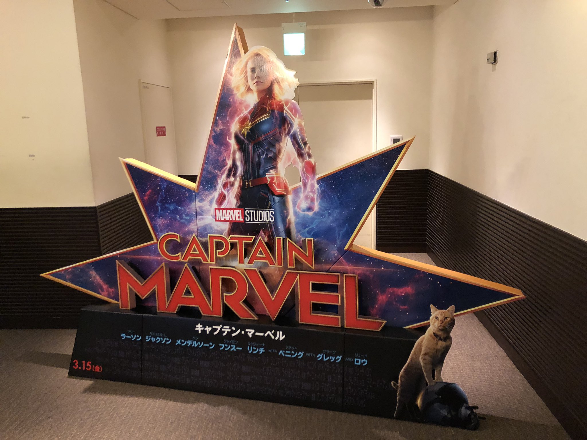 チネチッタ 見よ 3 15 金 公開 キャプテン マーベル のスタンディが4fロビーに降臨 アベンジャーズ結成に至る秘密が明かされる マーベル シネマティック ユニバースの超重要作品 4 26 金 公開 アベンジャーズ エンドゲーム の前に必ず