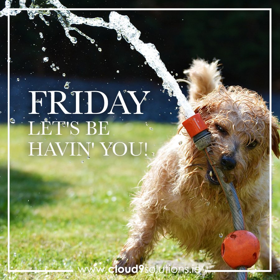 Cloud 9 Studio tweet media