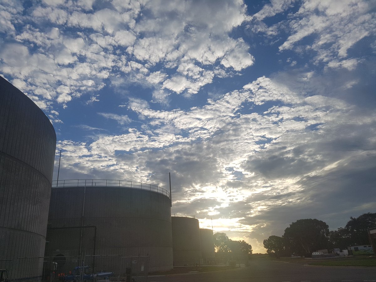 💧 Pablo Ledezma tweet media