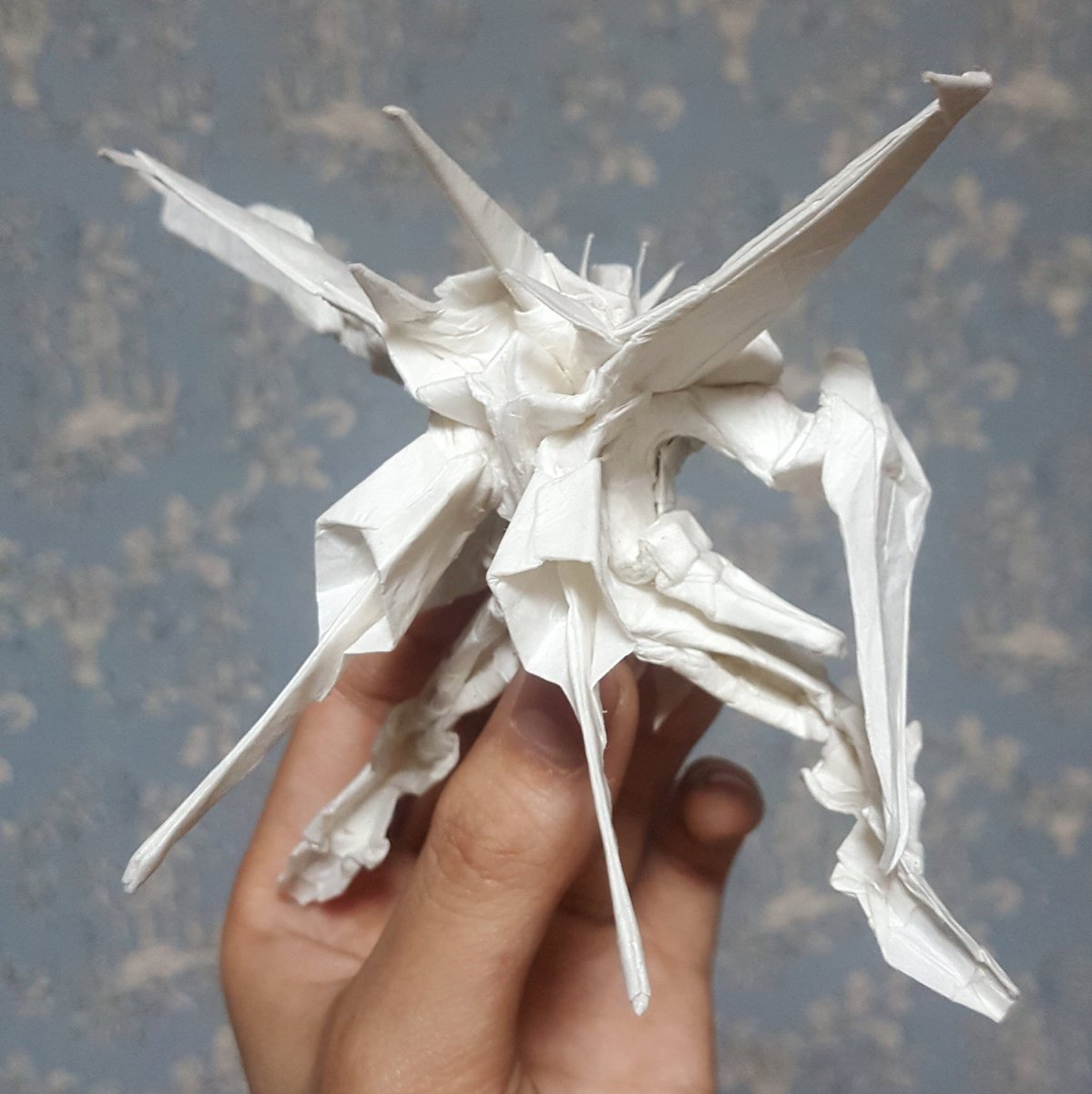 また撮影しました。
Re-capture