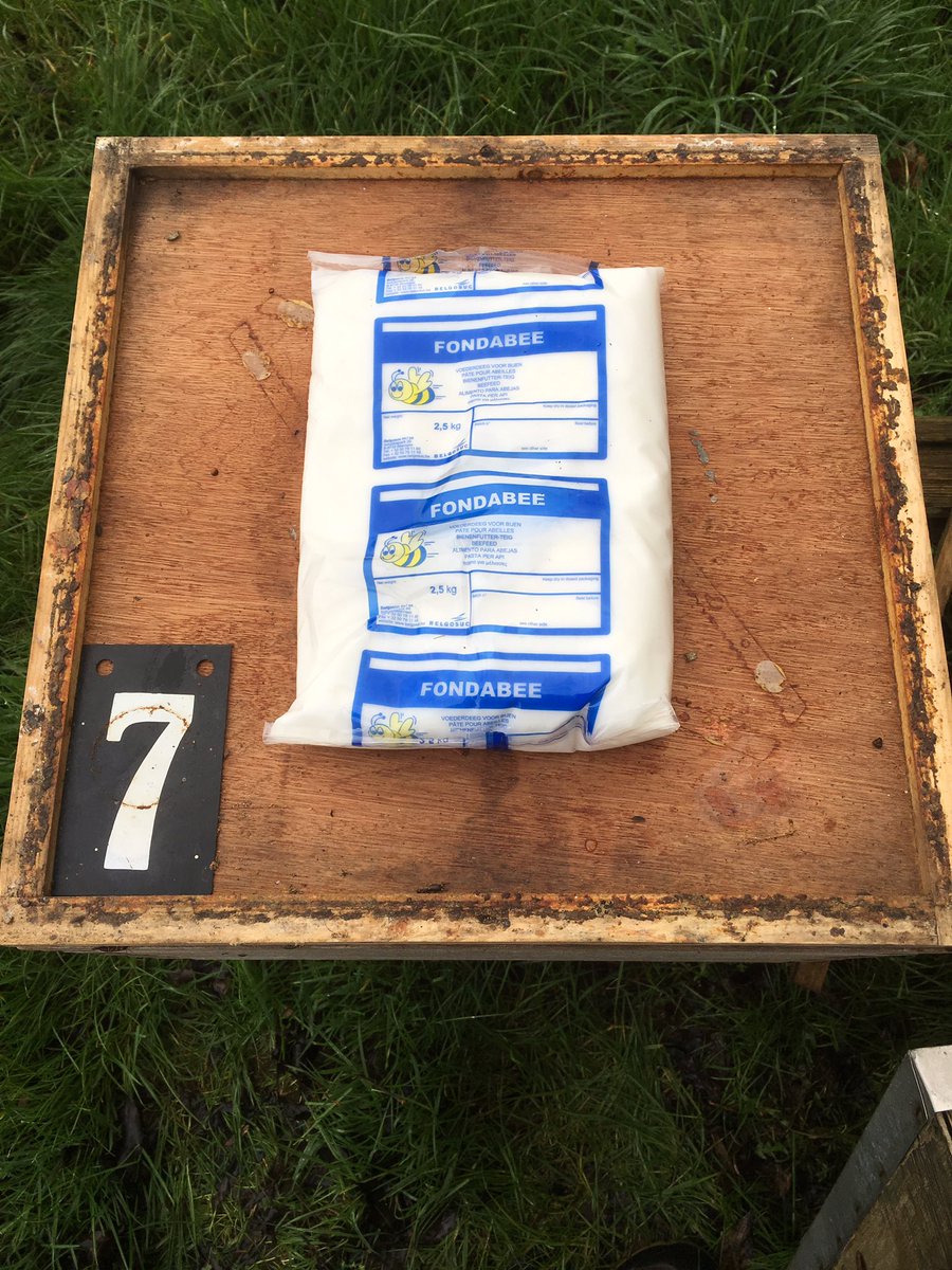 Don’t forget to feed ur bees or at least check!!