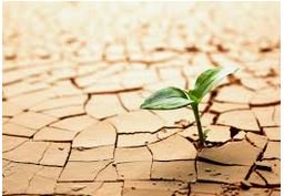 Keep on going, and the chances are that you will stumble on something, perhaps when you are least expecting it. I never heard of anyone ever stumbling on something sitting down." 
-- Charles F. Kettering

#persistence #dontgiveup