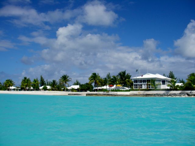 David Wei tweet media