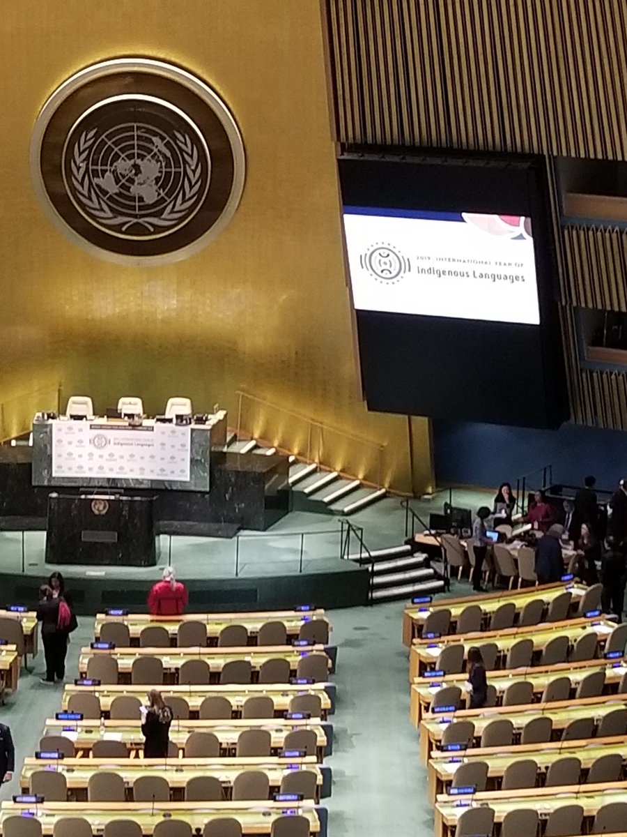 melbyak's tweet photo. UN General Assembly session on IYIL (indigenous languages) set to begin in ten minutes at UN HQ in New York (Bill Rivers and I are the FIT delegation. https://t.co/bbqGCOZlM5