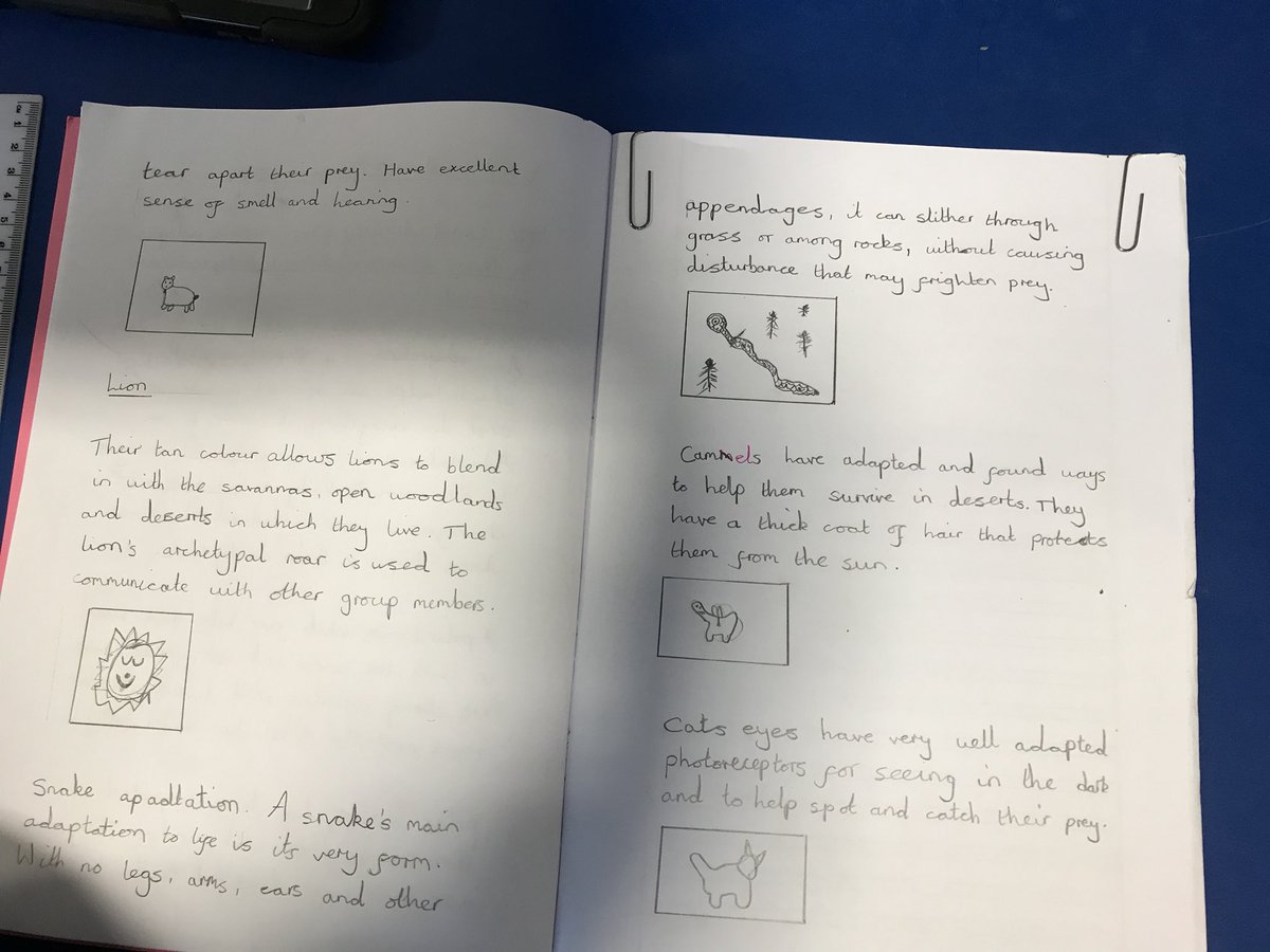 TGPS_NorthLincs's tweet photo. Year 4 have been using iPads to independently research how animals have adapted to their environment. #TGPSYear4 #TGPSScience #TGPSICT #TGPSResourceful @Psqm_HQ @priscigeeks @FrancescaVarley @MrsPassSci https://t.co/tgd2pBrhEv