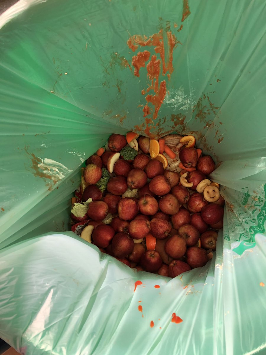 SVE_Bears's tweet photo. @SVE_Bears are composting and recycling! Thanks @HC3Summit and @summitk12 Facilities dept for your support! https://t.co/jwkfPOl6LZ