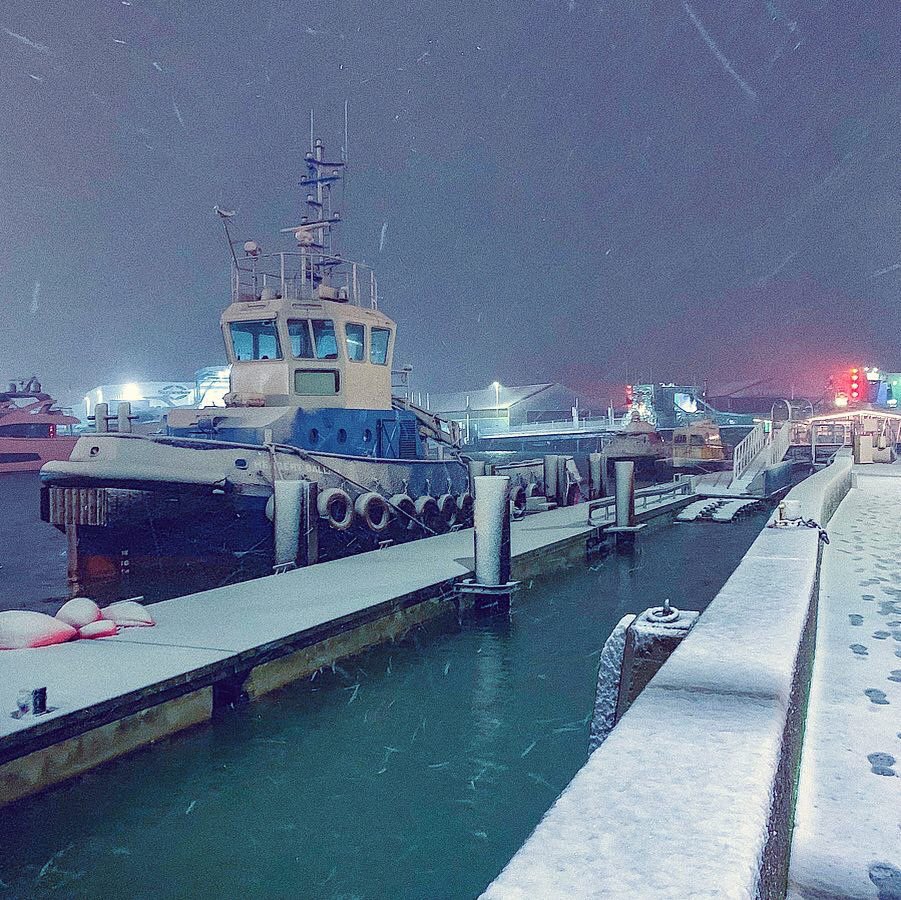 Poole has been transformed into a winter wonderland! Here's a shot from last night at #PooleQuay when the flurry had just begun... share your #Poole snow pics with us!

📸: IG/ annarayers #LovePoole 

#dorset #visitdorset #pooleharbour #visitengland #SnowMageddon2019