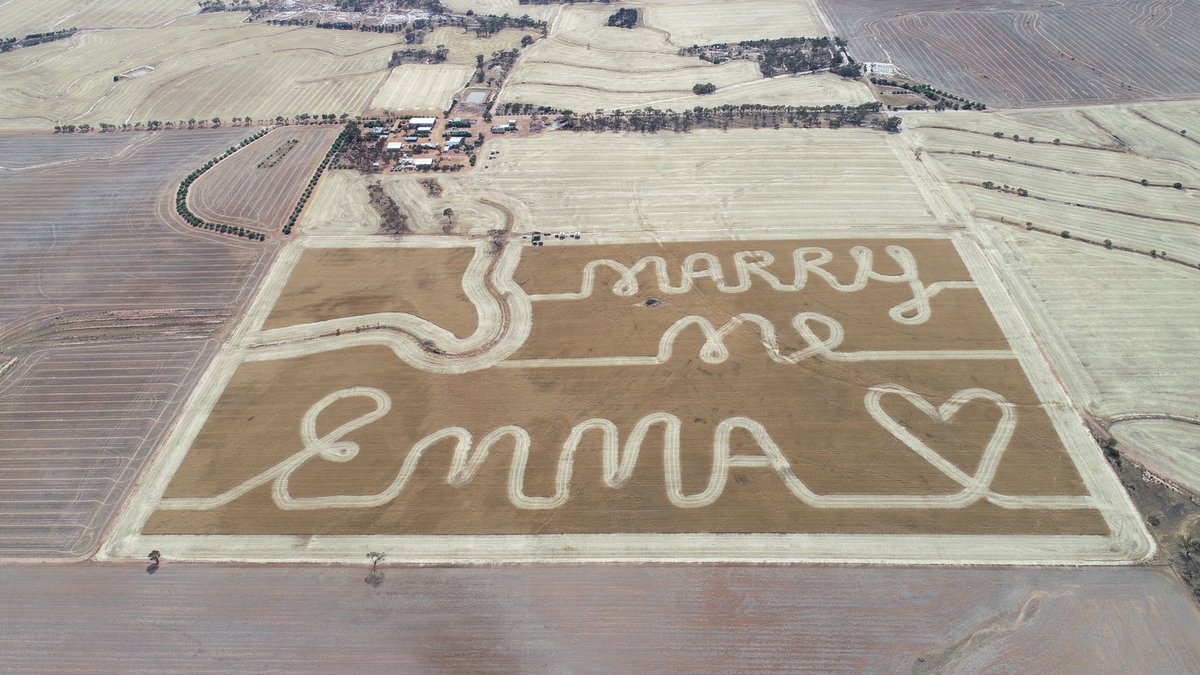 Brendan Boyd tweet media