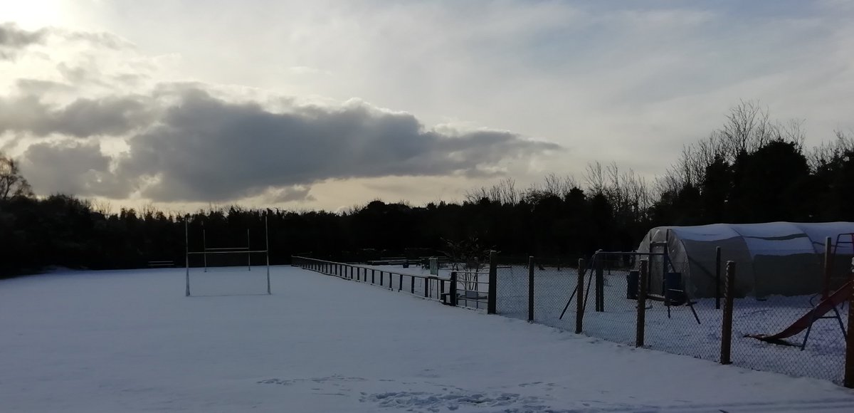 Ballycoog National School tweet media