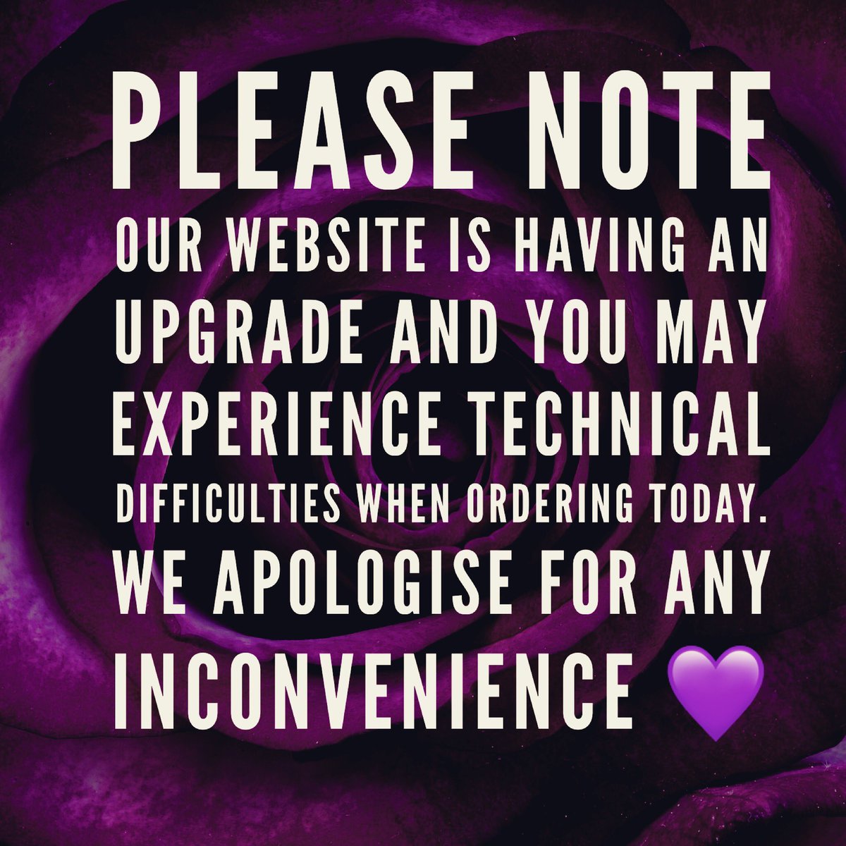 LLLoves_uk's tweet photo. Our website is going through a transition and we cannot wait to show you. While this is happening you may experience technical difficulties when ordering. If you’d like to order direct during this time then please send us a DM or email at sales@llloves.co.uk. 💜🤗 #excitingtimes https://t.co/TwGUns0lZ3