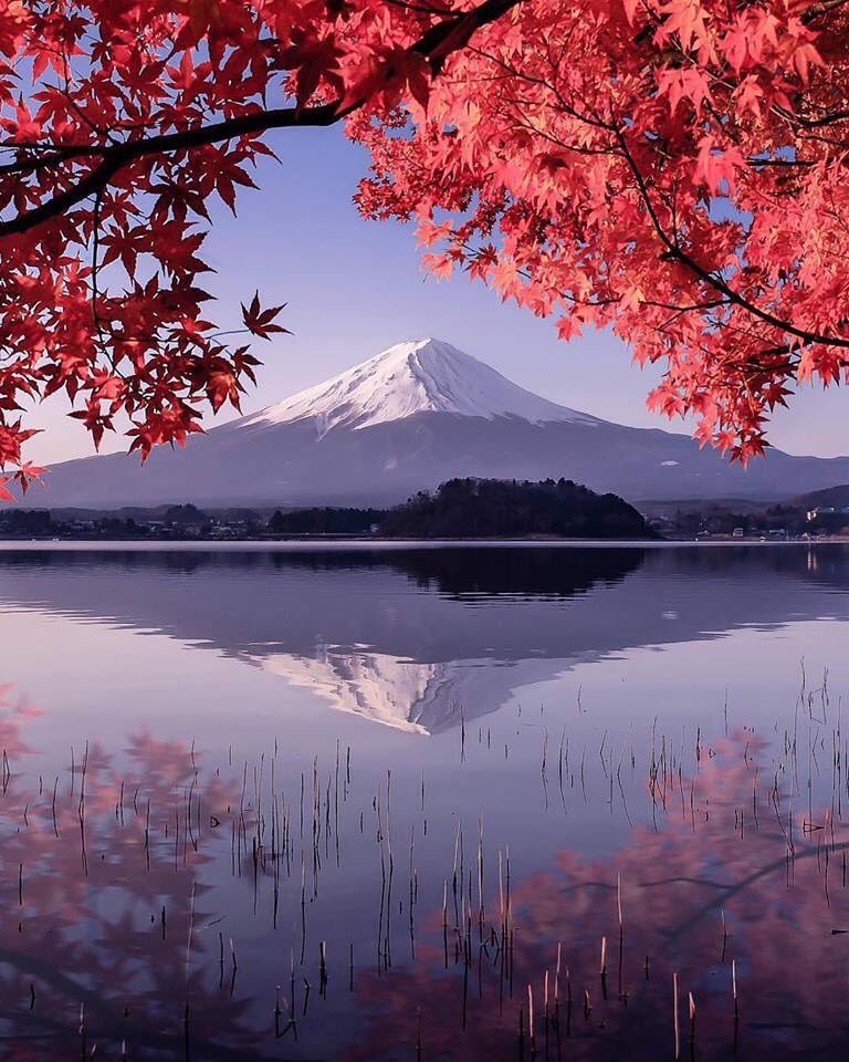 now_nippon's tweet photo. جبل فوجي #اليابان https://t.co/xXsSNgaFXW