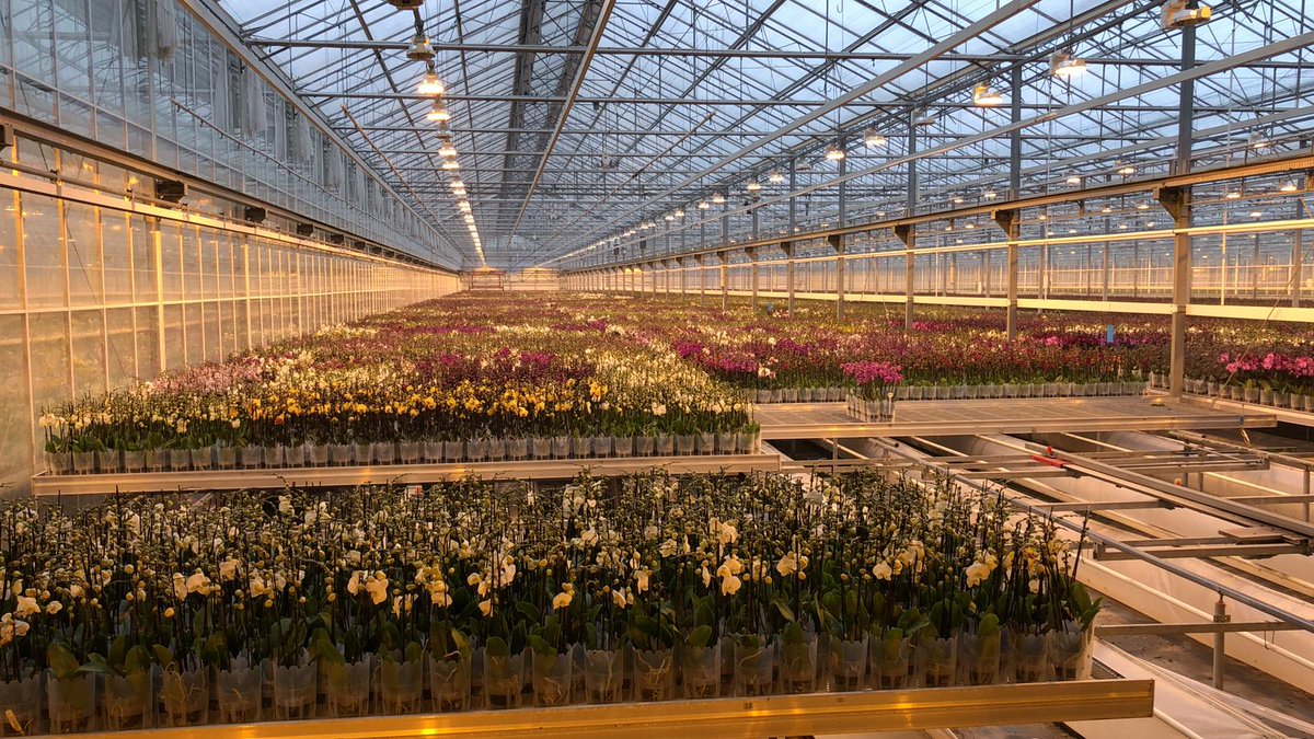 Patrick Lammers tweet media