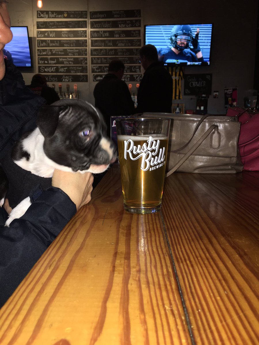 jodiwitte's tweet photo. Great #beer, cute puppies, and live music @RustyBullBeer . What else do you need?   Thanks for being a great partner! #partnerships #sportsbiz #rustybull #CHSBattery ⚽️ https://t.co/g0dgaQJklo