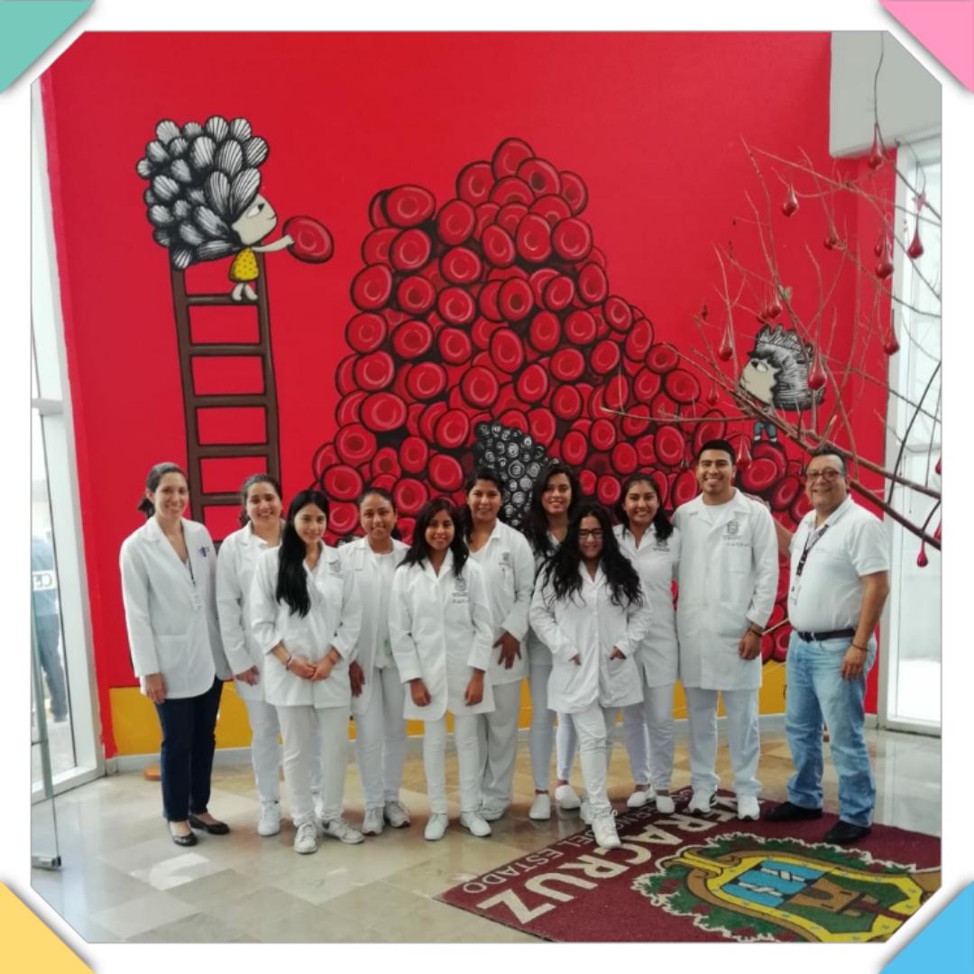 cetsver's tweet photo. Visita guiada a alumnos de la materia de Inmunohematologia de la Facultad de Bioanálisis de la UV Campus Veracruz. #cetsver https://t.co/491BQVO7eE