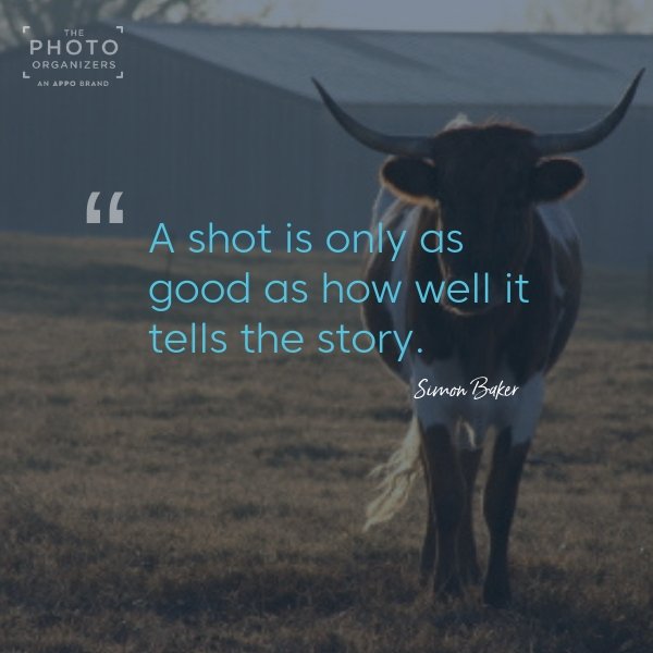 cathinelson's tweet photo. A shot is only as good as how well it tells the story. ~ Simon Baker #quote @photoorganizers https://t.co/QOKR0A9IbY