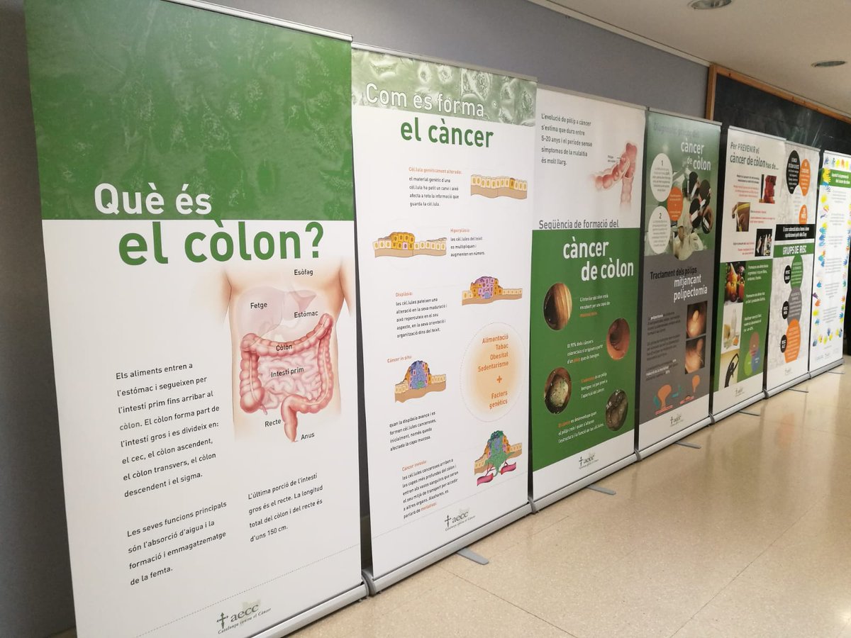 _ssibe's tweet photo. Comencem febrer! I durant tot aquest mes, tindrem exposada l'exposició sobre #càncer de còlon i recte a la 2a planta de #HospitalPalamos. Vine a veure-la! #PCCCR https://t.co/85IkQiwmvu