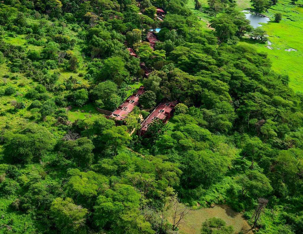 serenahotels's tweet photo. #10yearChallenge
Over 10yrs ago, #SerenaAmboseli started a tree planting programme that set out to transform what was once desert and dust to a green oasis. We like to encourage our guests to plant their own tree when they visit, so make sure you do when you stay with us 😊 https://t.co/9iwSLYit2K
