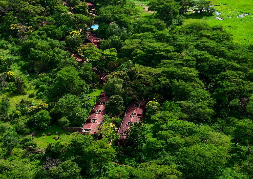 serenahotels's tweet photo. #10yearChallenge
Over 10yrs ago, #SerenaAmboseli started a tree planting programme that set out to transform what was once desert and dust to a green oasis. We like to encourage our guests to plant their own tree when they visit, so make sure you do when you stay with us 😊 https://t.co/9iwSLYit2K
