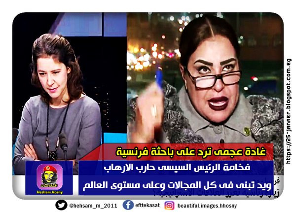 غادة عجمى ترد على باحثة فرنسية فخامة الرئيس السيسى حارب الارهاب ويد تبنى فى كل المجالات وعلى مستوى العالم