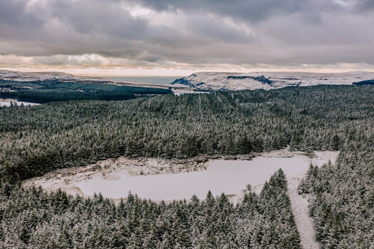 Soarscape tweet media