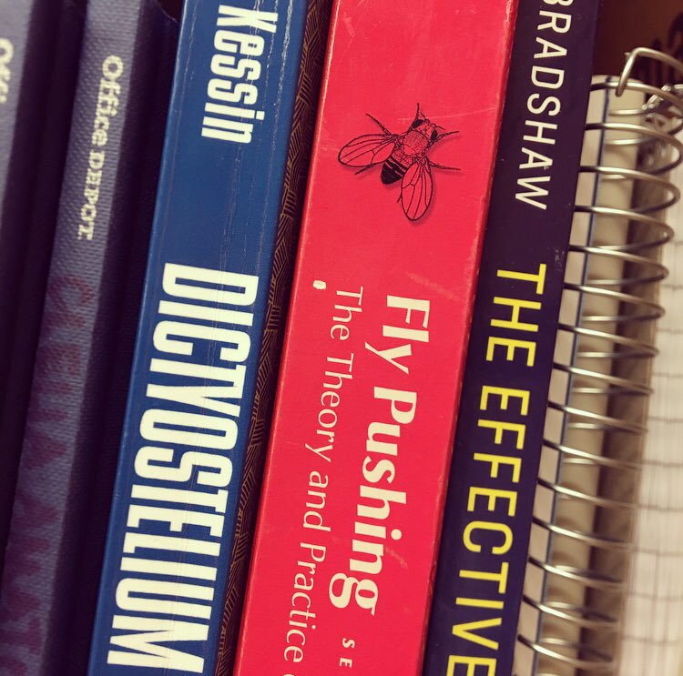 AmatoClelia's tweet image. #newoffice #newbooks #newthingstolearn #fromamoebastoflies