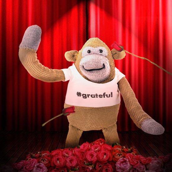 Monkey tweet media