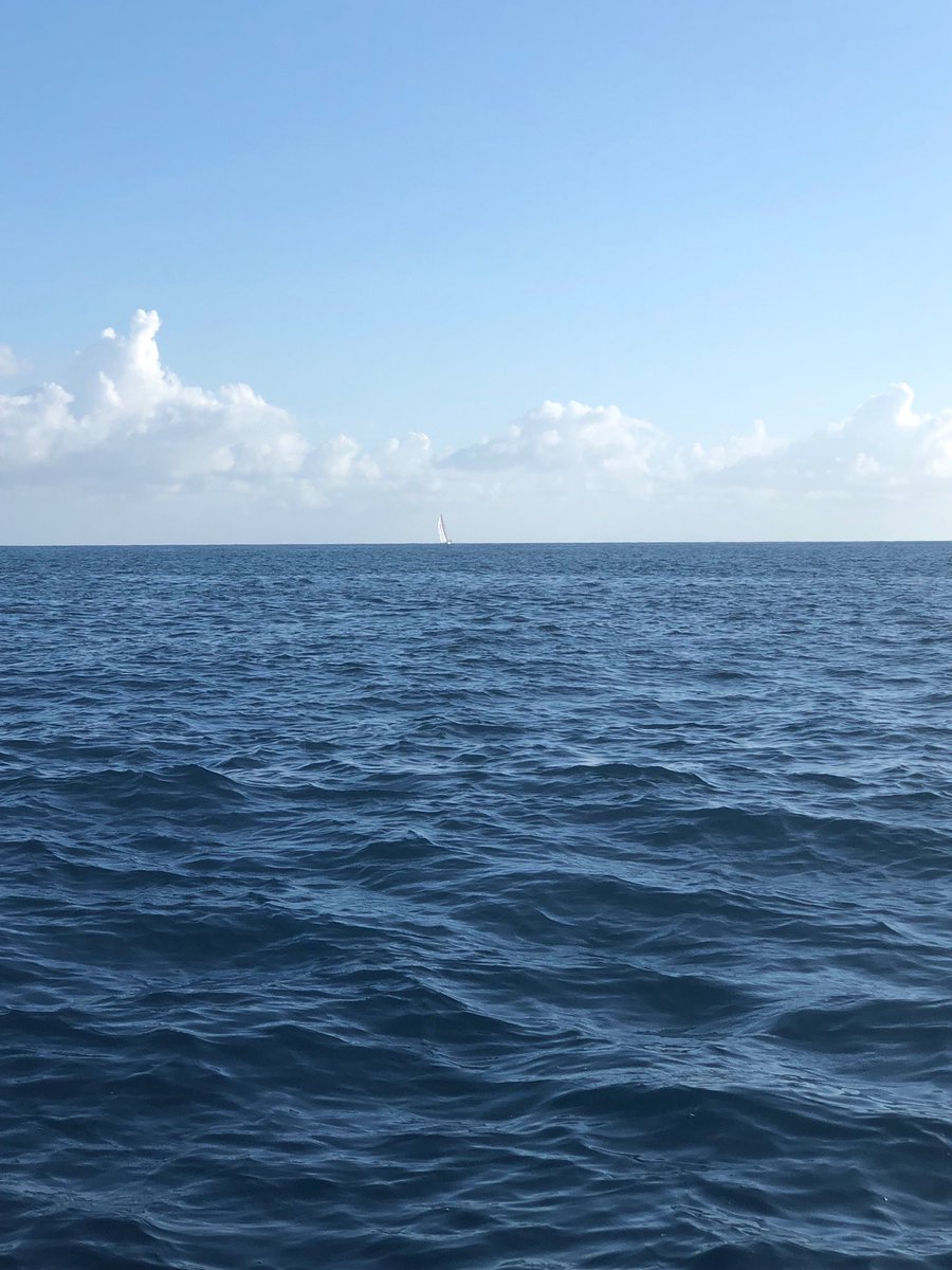 Look close 👀 eyes are on Lady Mariposa as they come in to the Pineapple Cup finish #pcup2019