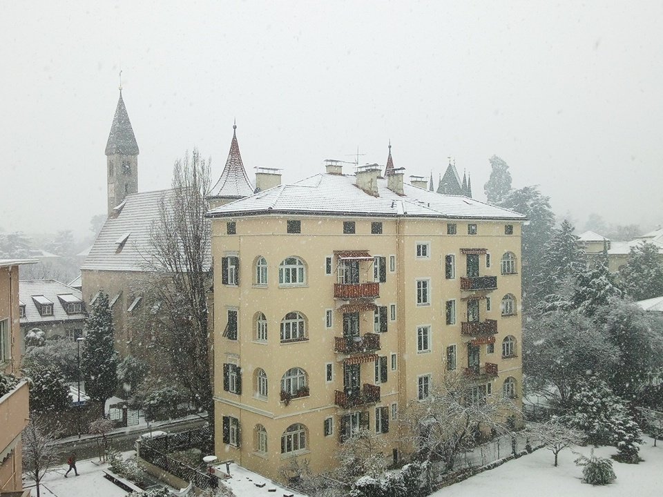 ChrisContarino's tweet photo. Working on the #digitalavatar to reduce animal testing while magical snow is surrounding my home! #MedTech #healthcare #innovation #healthtech #Bolzano https://t.co/sQMEr8gQa2