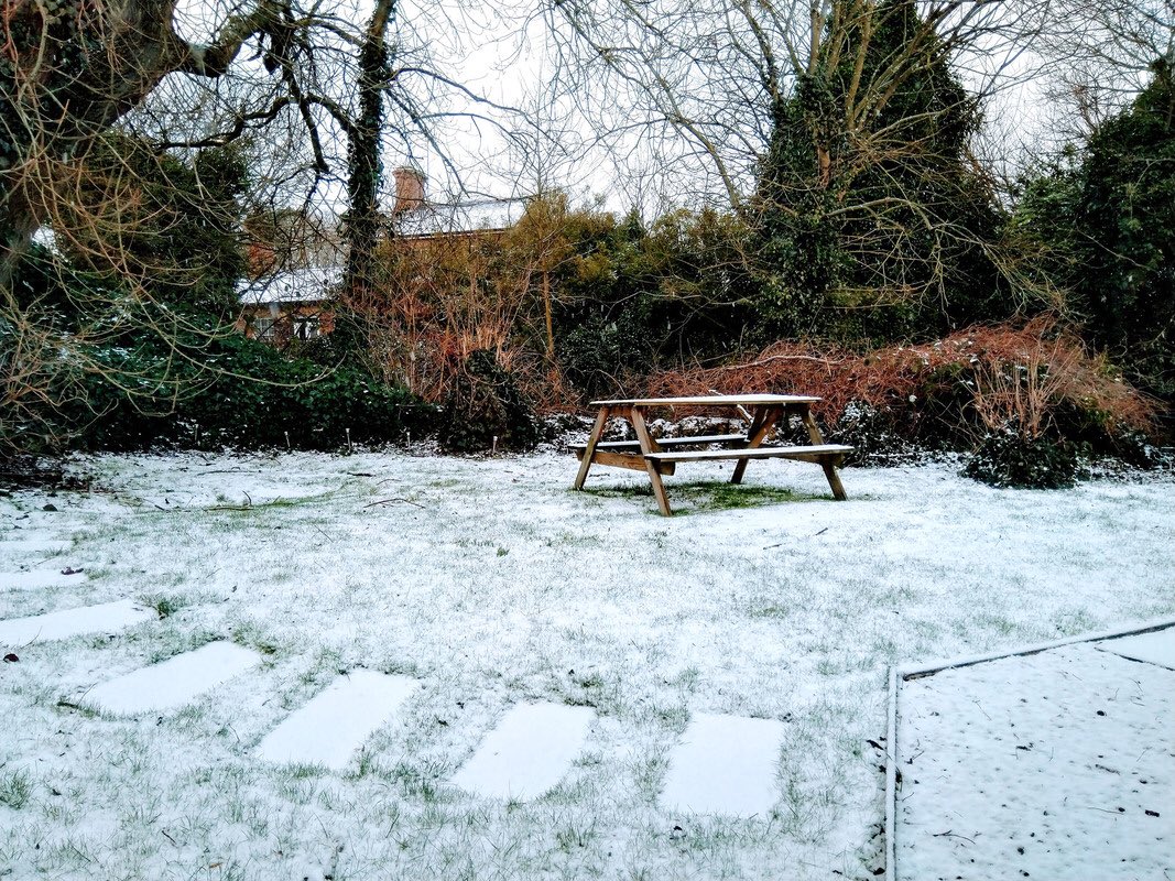 MMCreative's tweet photo. First flakes of SNOW today in the MMC garden and surrounding areas. Be safe and warm everyone. https://t.co/VHVcSuPNN9