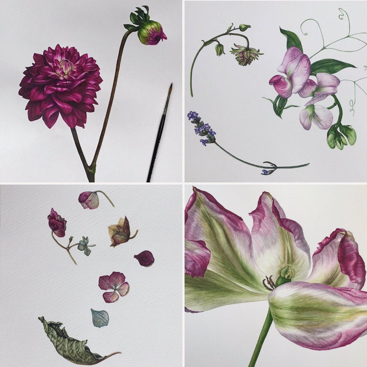 SAVE THE DATE!! 7th March! I’ll be exhibiting new work, launching new products and bringing along some old faves all at the fabulous <a href="/ChicettralalaLD/">Chic et tralala</a> in Sevenoaks. Watch this space for more details to follow. #botanical #artforsale #Kent #Sevenoaks #February1st #FridayFeeling