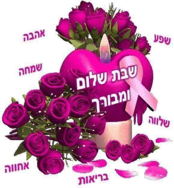 טוויטר שפל On Twitter שבת שלום לך ולבני משפחתך צבי