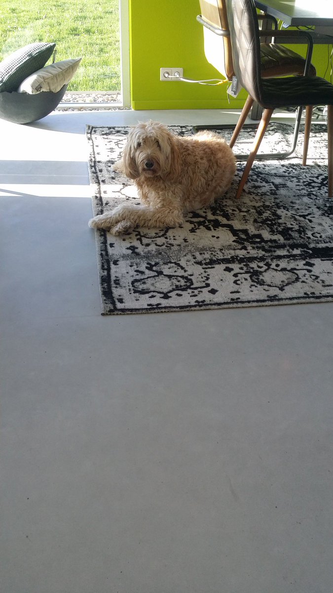 Jos Gilein (@gileinjos) on Twitter photo 