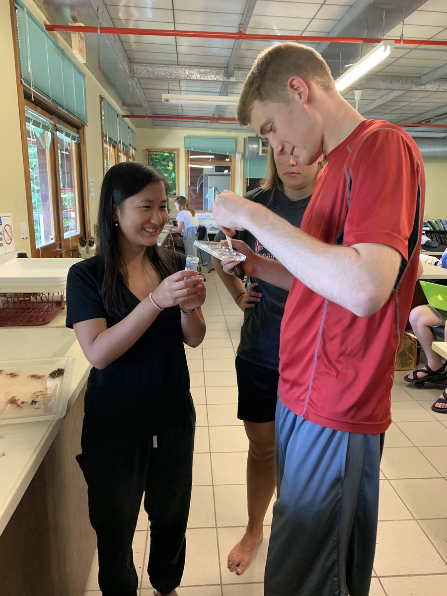 iris_seto's tweet photo. Live tweeting our Reef Zooplankton Lab! Starting off with our TAs getting our zooplankton samples ready for microscope viewing! https://t.co/Wi5w1YX7NJ