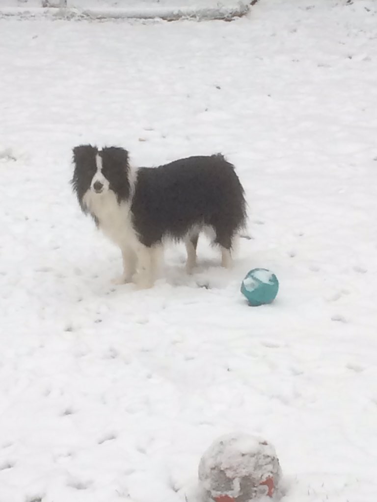 TeaWithKateLON's tweet image. To the lovely people in cars stranded in snow on the #M3  Basingstoke southbound ... it's going to be a long night ...❄️🚙🌈