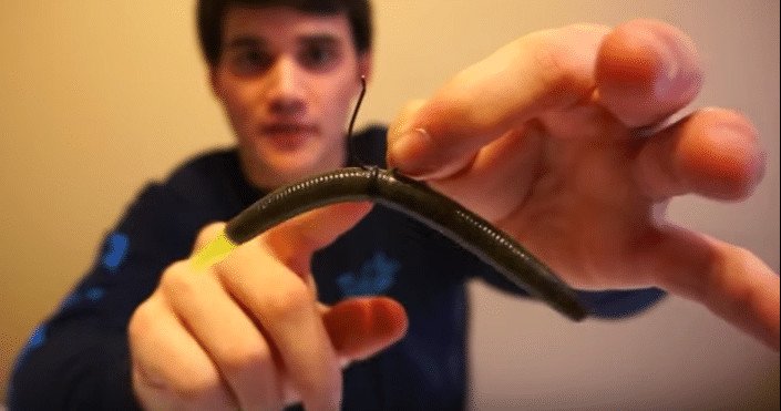 AlwaysBOutdoors's tweet photo. Cheaper & just as effective? โ๏ธ Check out this video to learn the best way to use plastic worms to catch bass: https://t.co/ykywE9HNeI
#bassfishing #plasticworms https://t.co/wU7l3Gi6s7